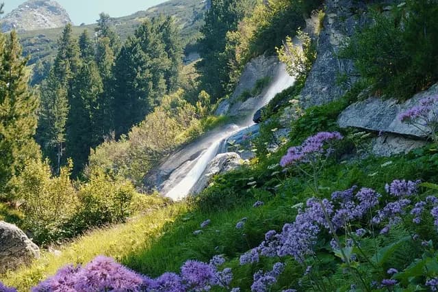 Les Meilleures Destinations pour le Canyoning en France