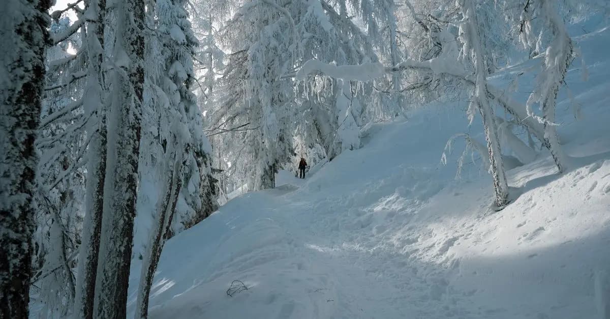 Comment Faire de la Randonnée en Hiver en Toute Sécurité