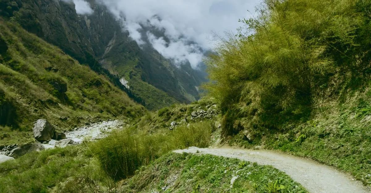 Les Mistères du Trekking en Montagne : Guide Essentiel