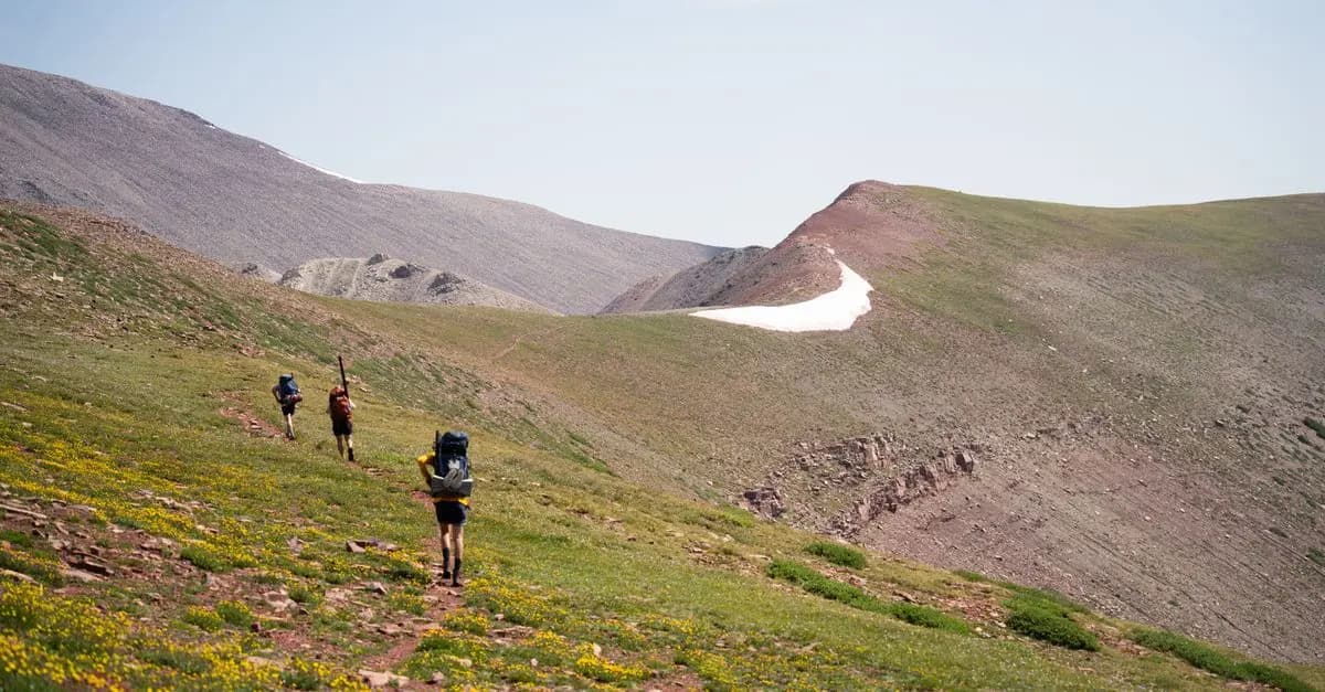 Les Meilleures Pratiques pour Organiser une Aventure Sportive Réussie