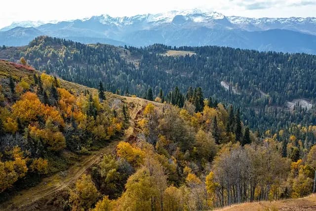 10 Astuces pour Bien Débuter en Aventure Sportive