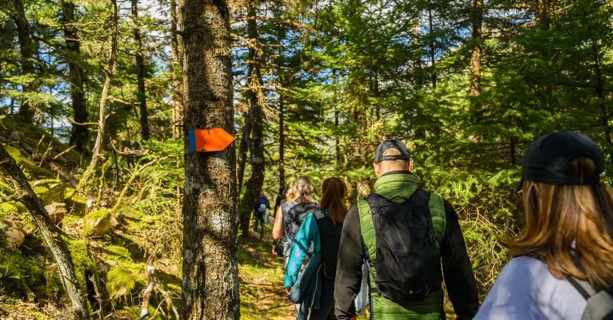 Les Erreurs à Éviter Lors de Votre Première Aventure Sportive