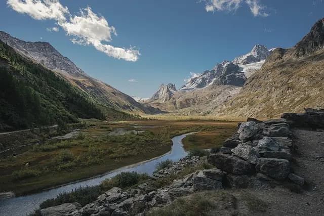 Guide Pratique pour Bien Débuter en Trail Running