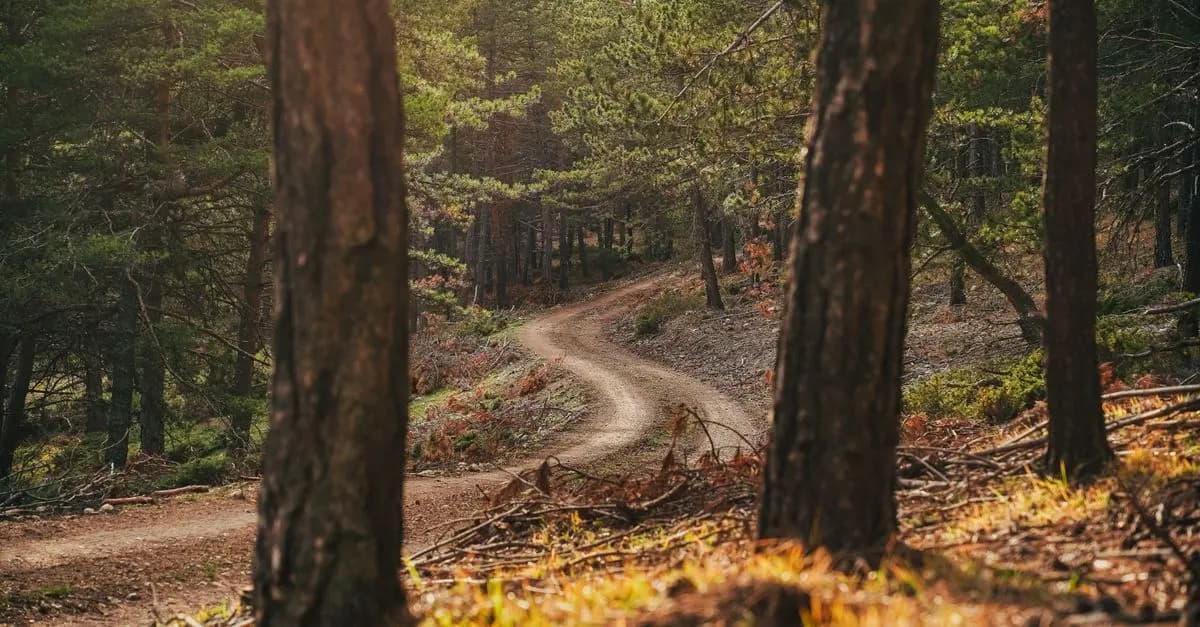 Comment Choisir le Bon VTT pour Votre Aventure Sportive