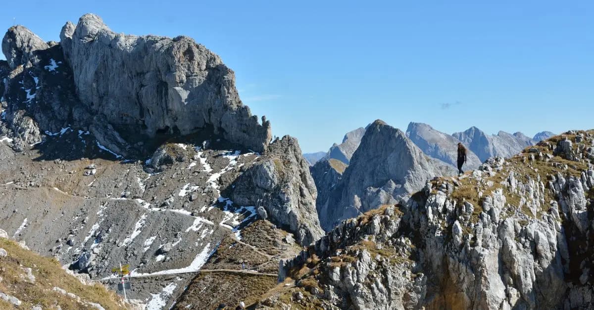 Les Meilleures Techniques de Randonnée en Montagne