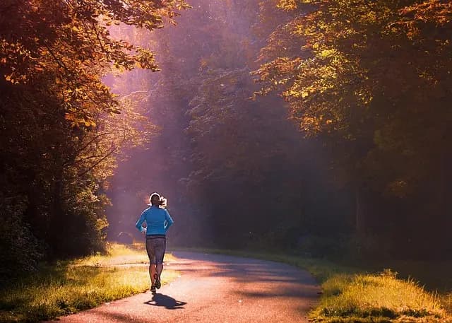 Les Sports d'Aventure : Choisir la Discipline qui Vous Correspond
