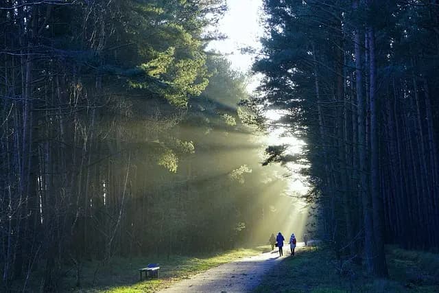 Les 10 Meilleures Astuces pour Réussir votre Première Aventure Sportive