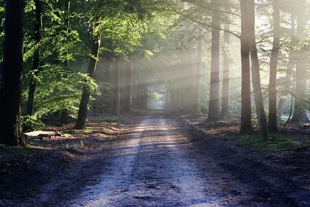 Les Meilleures Routes de Trail à Découvrir en France