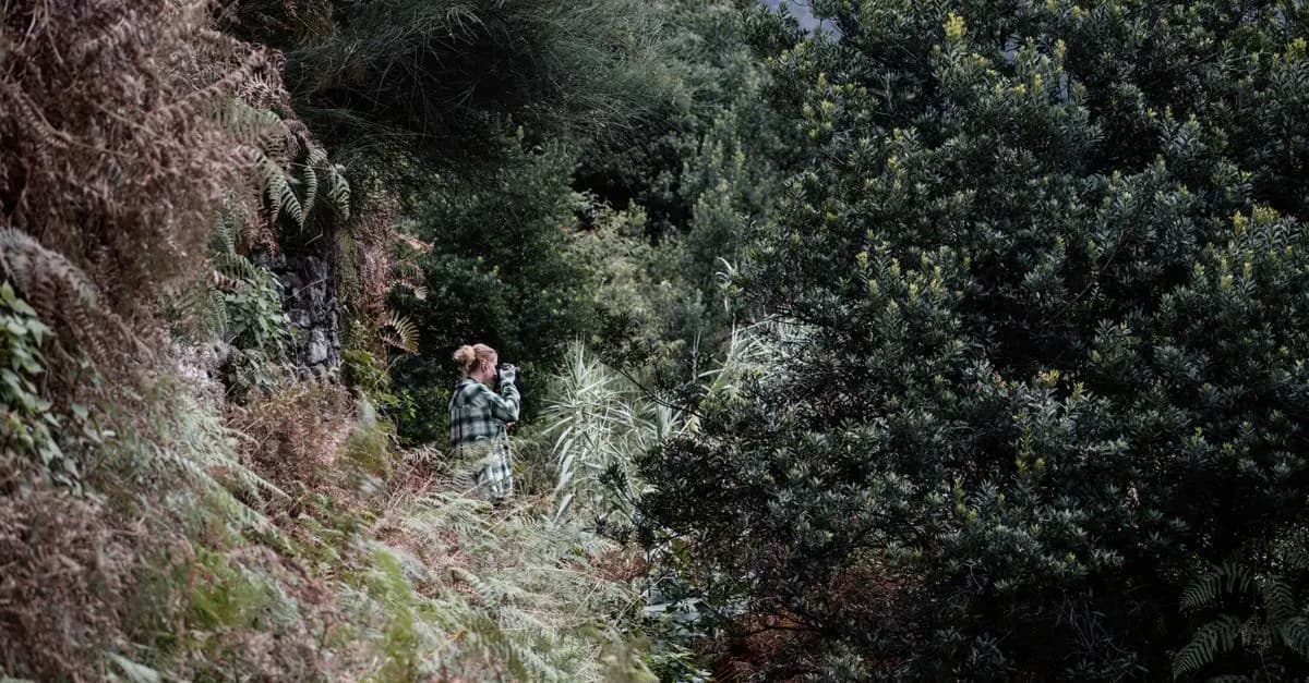 VTT en Forêt : Techniques d'Observation de la Faune