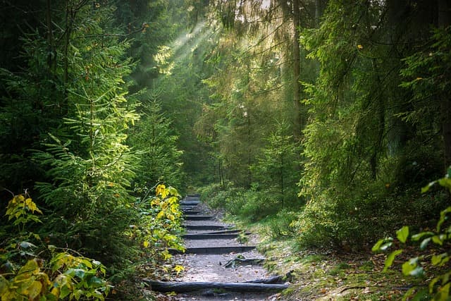 Comment Choisir le Bon VTT pour vos Aventures Sportives
